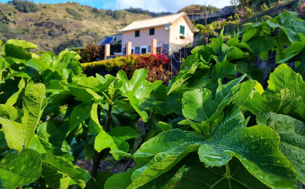 里贝拉布拉瓦Quinta Terezinha别墅 外观 照片